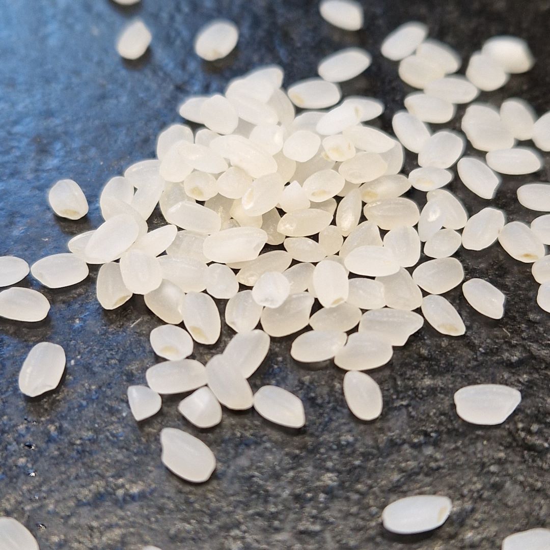 Echantillon de riz à grains courts Ssaljip