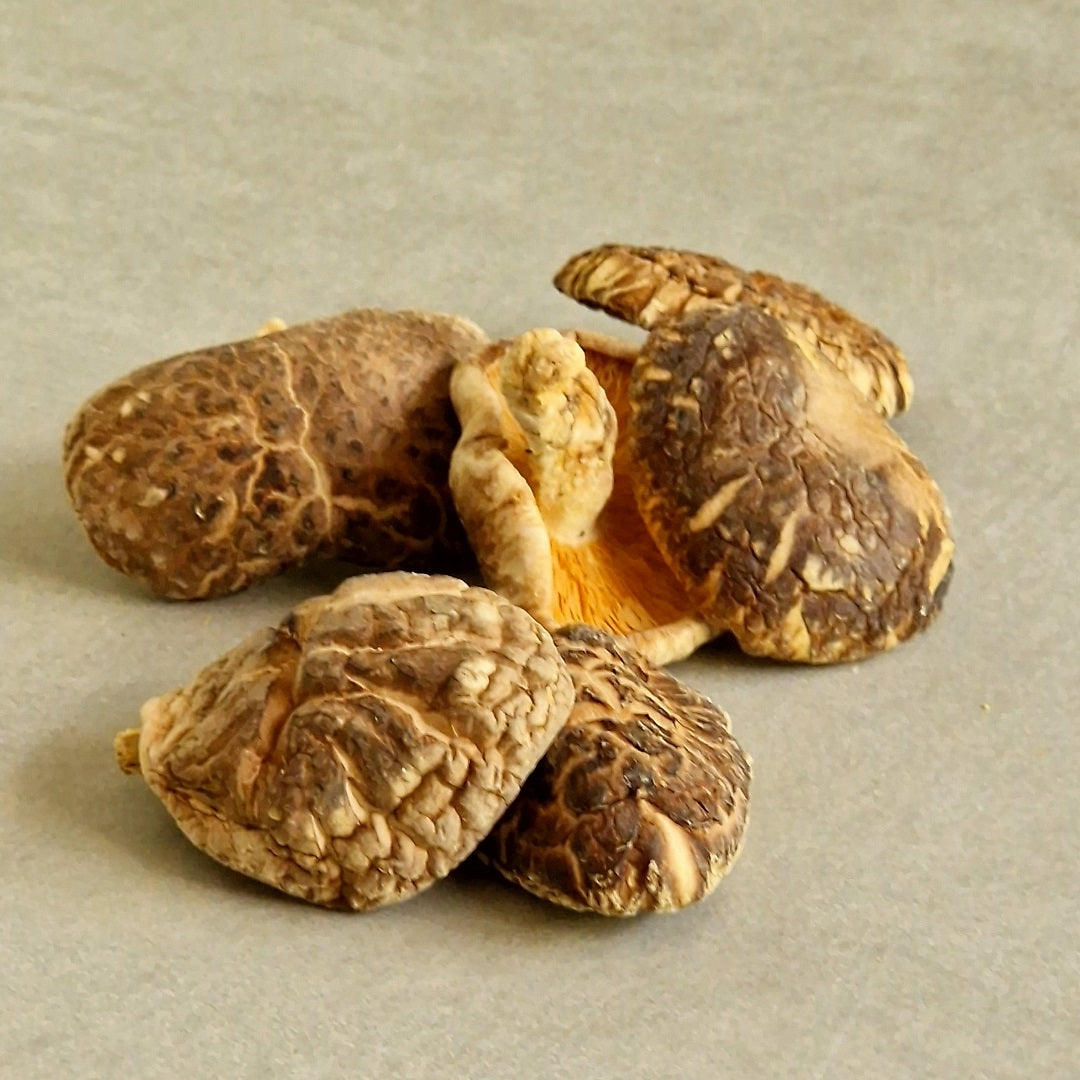 Photo de champignons séchés coréens pour bouillon dashi