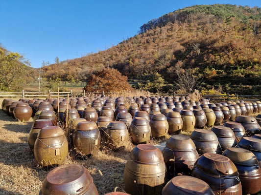 🍂 Top 10 des plats coréens pour l’automne