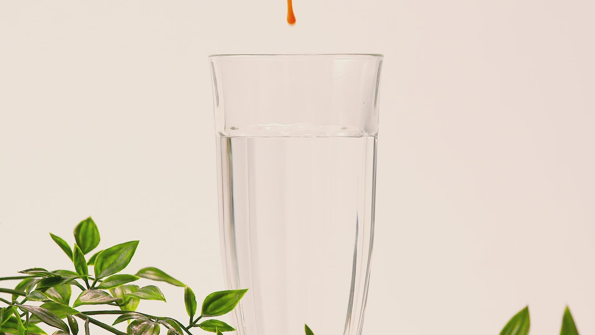 Charger la vidéo : Video de notre vinaigre de mandarine Chosanjung en train d&#39;être mélangé dans un verre d&#39;eau