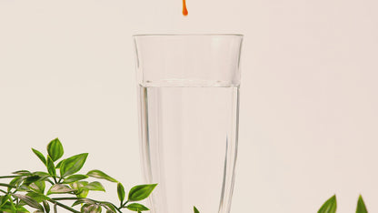 Jeju Mandarinenessig – Chosanjung – 270 ml